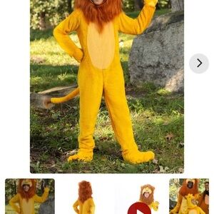 Kids Lion King Mufasa Costume